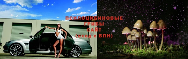 прущие крисы Медногорск