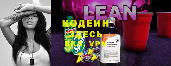 крисы Мегион