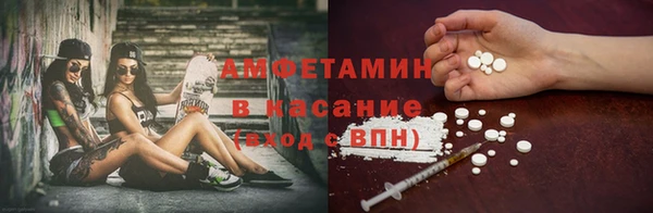 крисы Мегион