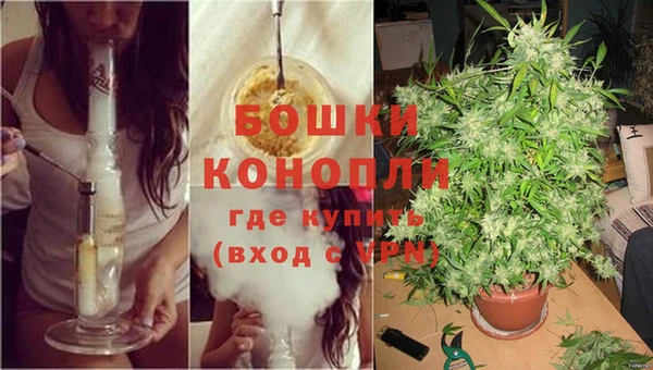 мдпв Михайлов