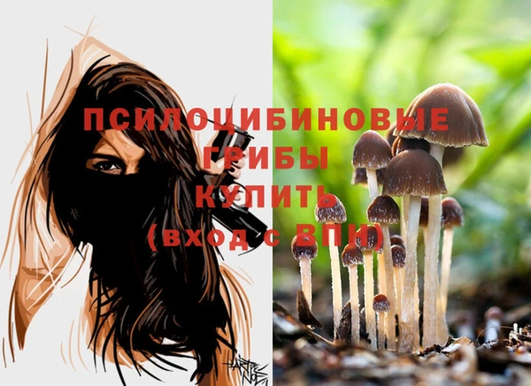 крисы Мегион