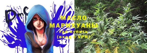 крисы Мегион