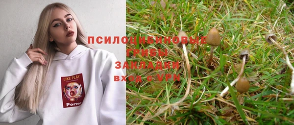 мдпв Михайлов