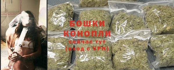 крисы Мегион