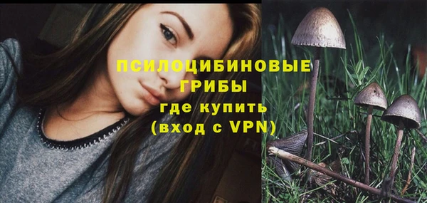 мдма Медвежьегорск