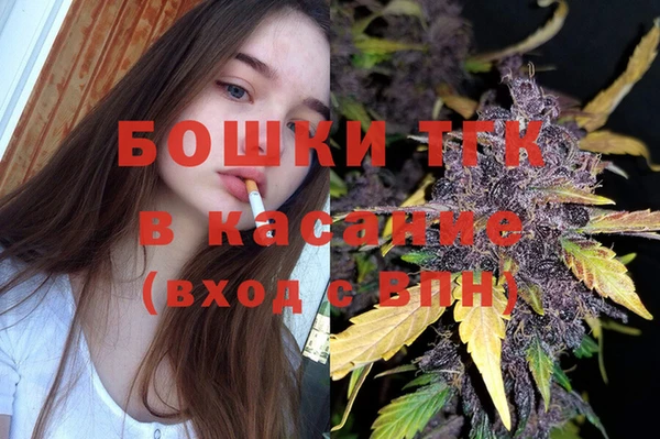 крисы Мегион