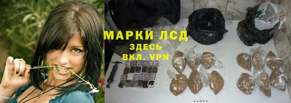 мдпв Михайлов