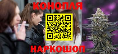 винт Дубна