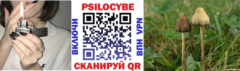 наркошоп  Лянтор  Псилоцибиновые грибы GOLDEN TEACHER 