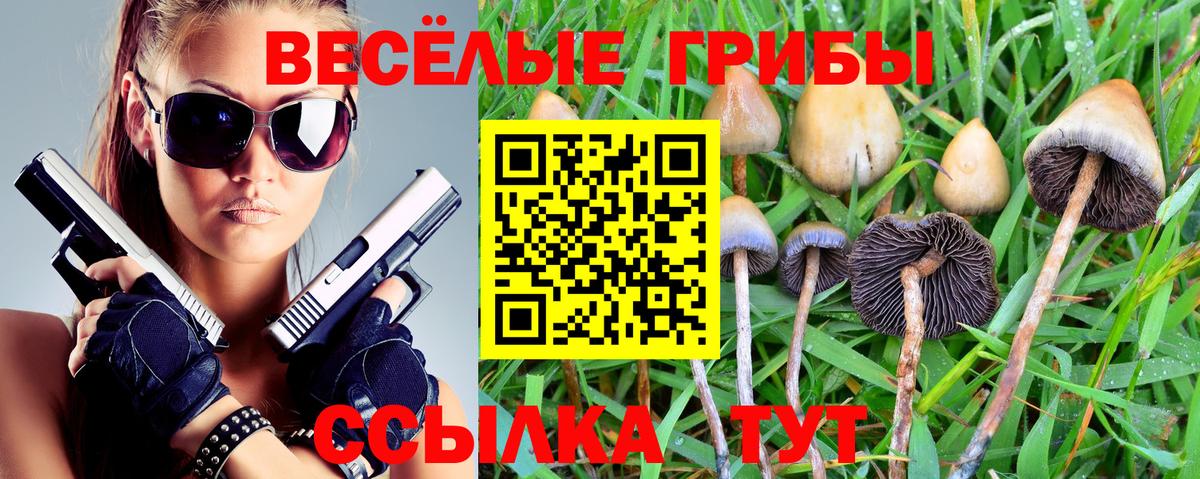 Псилоцибиновые грибы Cubensis  Вход с VPN  Лянтор 